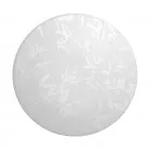 Настенно-потолочный светильник Gauss 941428221 Decor