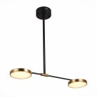 Светильник на штанге ST Luce SL1605.403.02 Farone