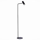 Торшер ST Luce SL1006.405.01 ARPER
