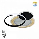 Потолочный светильник Sonex 7735/80L PINE