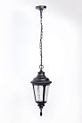 Уличный светильник подвесной Oasis Light 79755S Bl