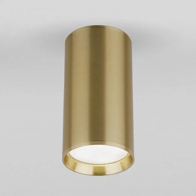 Потолочный акцентный светильник elektrostandard dln101 gu10 rutero a058288