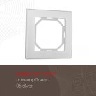 Рамка из поликарбоната на 1 пост Arte Milano 503.06-1.silver am