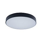 Потолочный светильник Loft It 10002/24 Black Axel