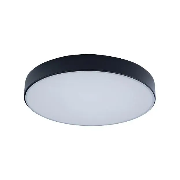Потолочный светильник Loft It 10002/24 Black Axel