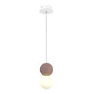 Подвесной светильник ST Luce SL1512.523.01 ESTRUZZO