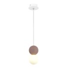 Подвесной светильник ST Luce SL1512.523.01 ESTRUZZO