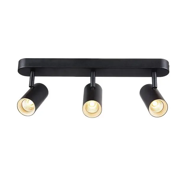 Спот SLV 1002976 NOBLO TRIPLE CW Спот SLV 1002976 NOBLO TRIPLE CW