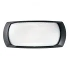 Уличный настенный светильник Ideal Lux 123783 FRANCY-2 AP1 NERO