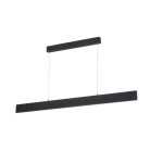 Подвесной светильник Arte Lamp A2505SP-2BK LARGO