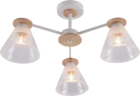 Люстра Rivoli 9177-303 Theothila