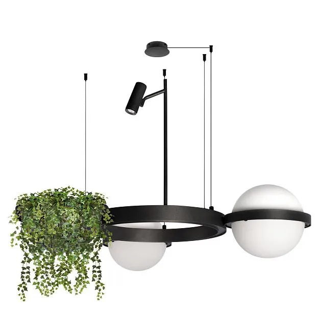 Подвесной светильник LOFT IT 10121/2 Jardin