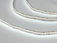 Светодиодная лента SWG SWG2204-12-22-W-М