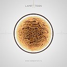 Бра RODA WALL Светлое Дерево. Размер M Lampatron 3553-8706