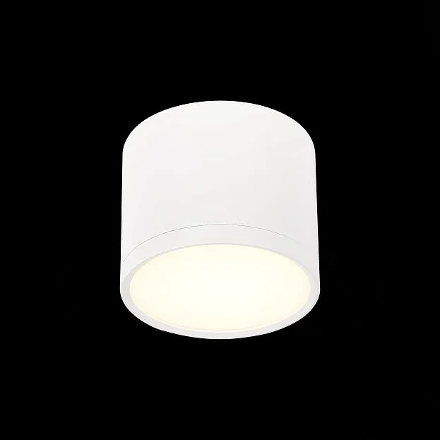 Потолочный светильник ST Luce ST113.532.09