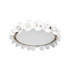 Потолочный светильник Loft IT 10175 Bride