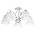 Потолочная люстра Arte Lamp A2713PL-5WG Emma