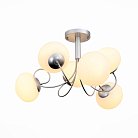 Потолочная люстра ST Luce Acini SL717.502.06