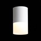 Светильник потолочный ST-Luce ST100.502.10
