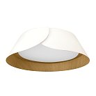 Потолочный светильник Loft IT 10370 White Lane