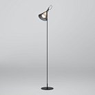напольный светильник Eurosvet 01187/1 Enigma a069053