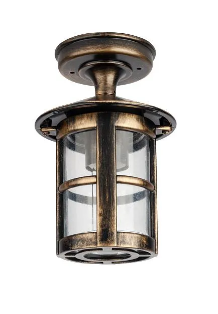 Потолочный светильник уличный Oasis Light 15805A Gb CORDOBA