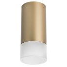Накладной светильник Lightstar R44031 Rullo