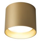 Потолочный светильник Feron 41912 HL358