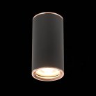 Светильник потолочный ST LUCE ST111.427.01 ST111