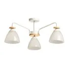 Потолочная люстра DeMarkt 116010103 Дэла