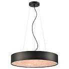 Подвесной светильник Wertmark WE510.01.723 EDERA