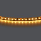 Лента теплого белого свечения 24V Lightstar 420803