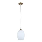 Подвесной светильник Arte Lamp A4344SP-1PB PROPUS