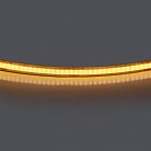 Лента теплого белого свечения COB LED 24V Lightstar 420833