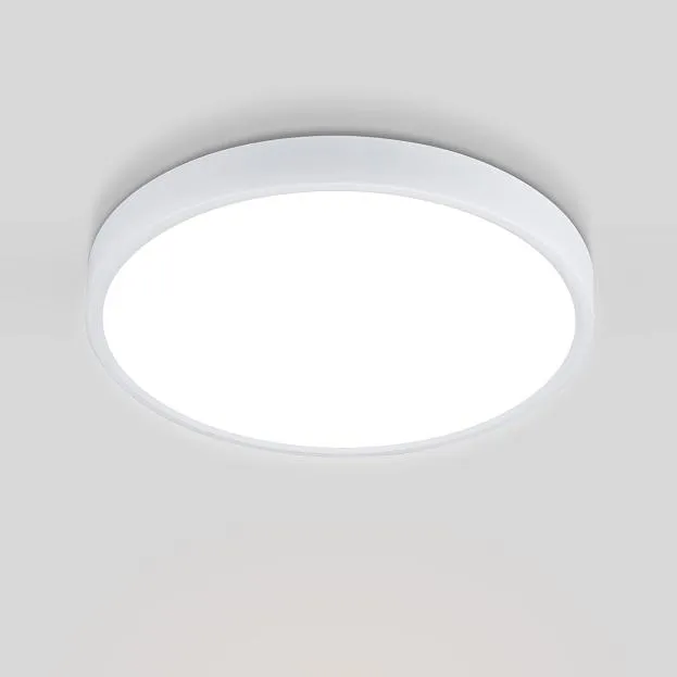 Потолочный светильник Elektrostandard DLR034 24W 4200K Fitta a043016