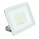 Прожектор Feron 29498 LL-921 IP65 50W 6400K