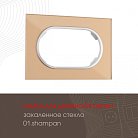 Рамка для двойной розетки 502.01-double.shampan Arte Milano am