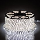 Cветодиодная LED лента Feron 48291 LS704