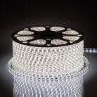 Cветодиодная LED лента Feron 48291 LS704