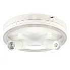 Настенно-потолочный свет Escada 20044SMA/03LED WH