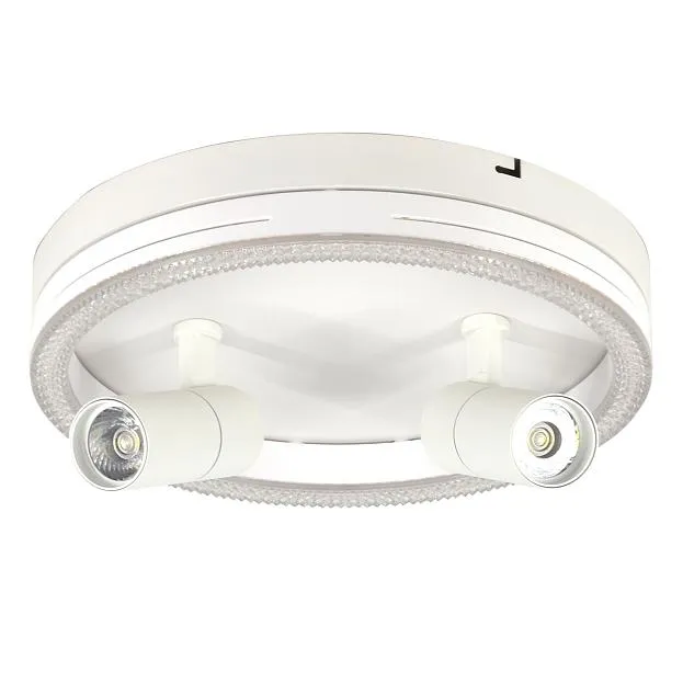 Настенно-потолочный свет Escada 20044SMA/03LED WH