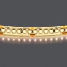 Лента белого свечения влагозащищенная 24V Lightstar 421054