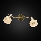 Светильник-спот настенно-потолочный Citilux CL520523 Соната