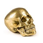 Статуэтка Wunderkrammer Human Skull Seletti 10891