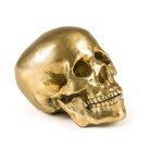 Статуэтка Wunderkrammer Human Skull Seletti 10891