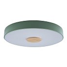 Потолочный светильник Loft IT 10003/24 green Axel