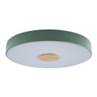 Потолочный светильник Loft IT 10003/24 green Axel