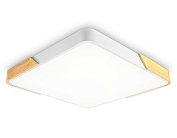 Потолочный светодиодный светильник Ambrella light FZ1313 ORBITAL