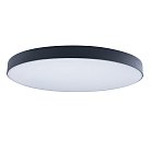 Потолочный светильник Loft IT 10002/48 black Axel