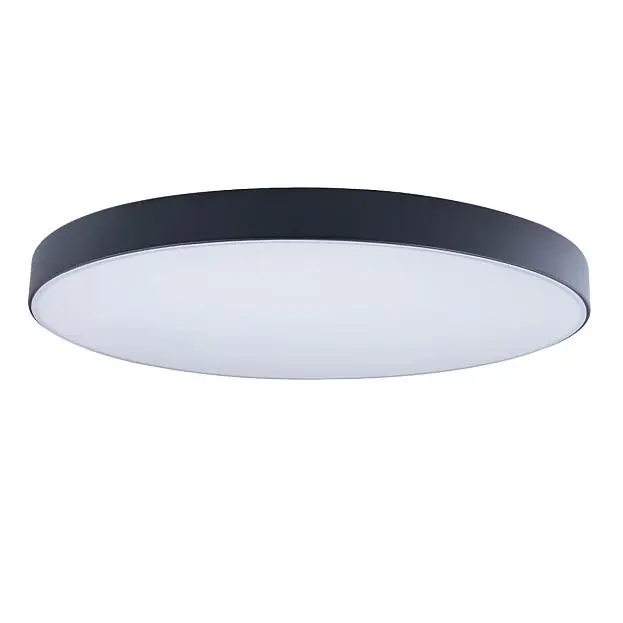 Потолочный светильник Loft IT 10002/48 black Axel
